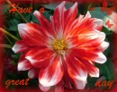 have a great day