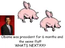 obama swine flew LOL