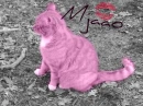 Pink cat