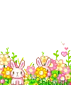 spring time bunnies