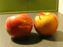 Apples
