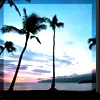 Beach Sunset