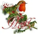 Christmas Bird