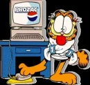 Garfield on computer gone crazy