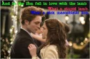 edward and bella