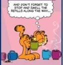 Garfield Coffee smell the refills