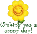 wishing you a sunny day!