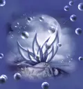 bubbles