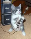 r0Ck 0n..!!!!!!!!!!!!!!!!!