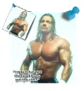 triple h/hhh wwe