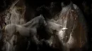  black horse