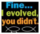 Fine