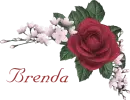 BRENDA