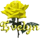 yellow rose evelyn