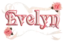 pink roses evelyn