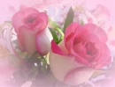 Pink Roses