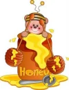 bear in a honey pot