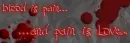 blood is pain & pain is love