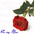 for My Mom