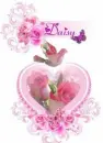 Daisy Heart n Roses