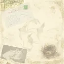 collage,nest with cats