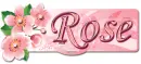 Rose