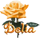 orange rose delia