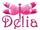 hot pink dragonfly delia