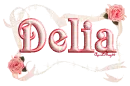 pink roses delia