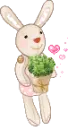 bunny