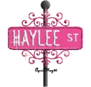 hot pink street sign haylee ST