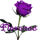 purple rose florence