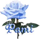 blue rose pami