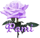 purple rose pami