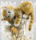 cat-