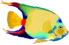fishies