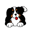 doggy