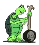Turtle