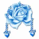 Blue Rose