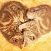 Heart cat
