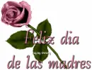 Feliz dia de las madres