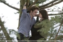 twilight 