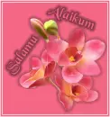 salam/peace...islamic