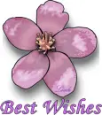 Best wishes