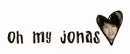 jonas brothers