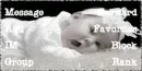Baby cute
