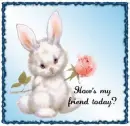 Bunny