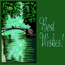 beautiful scenery picture