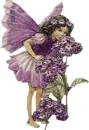 Angel Fairy