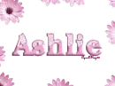 pink daisies ashlie